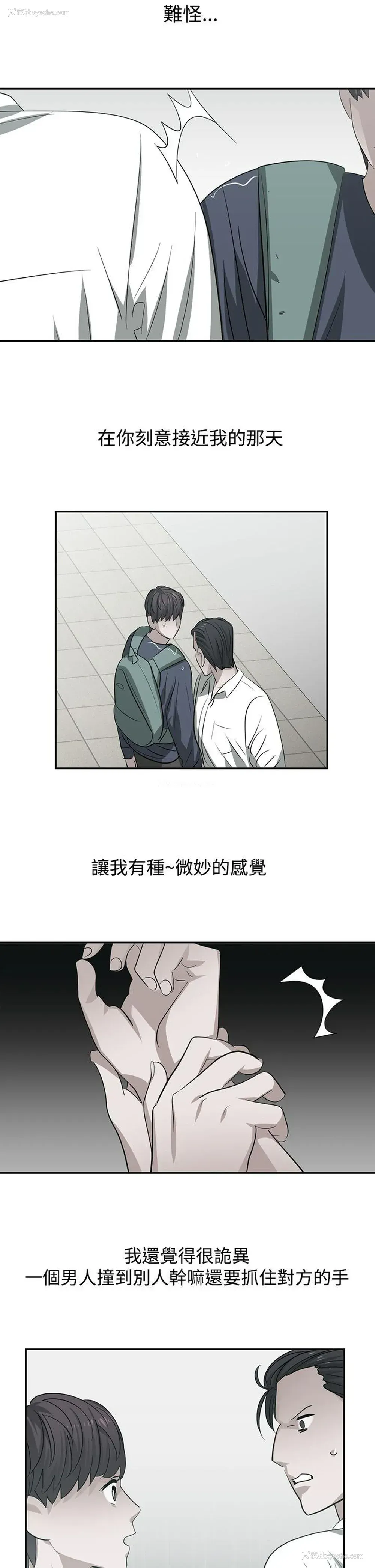 11P - 辣魅当家