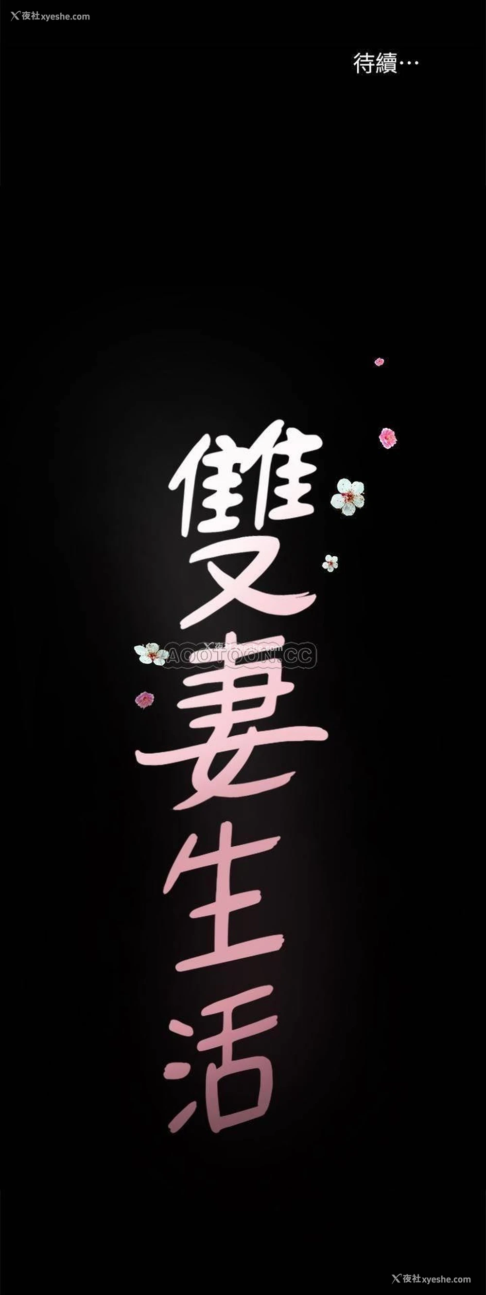 29P - 双妻生活