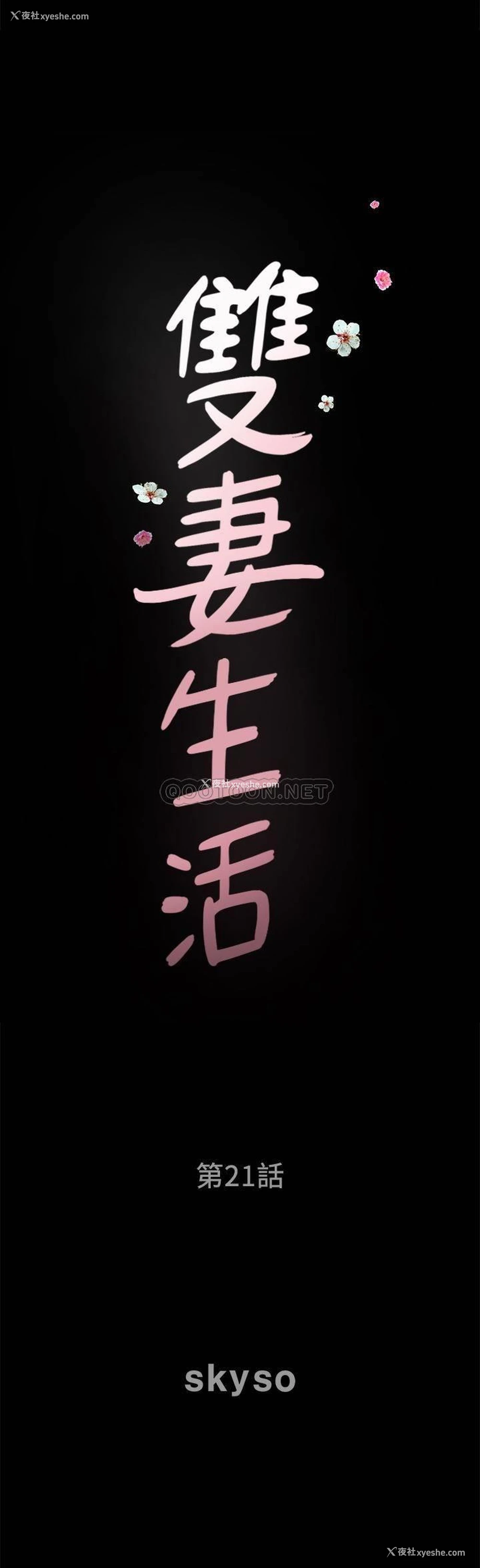 2P - 双妻生活