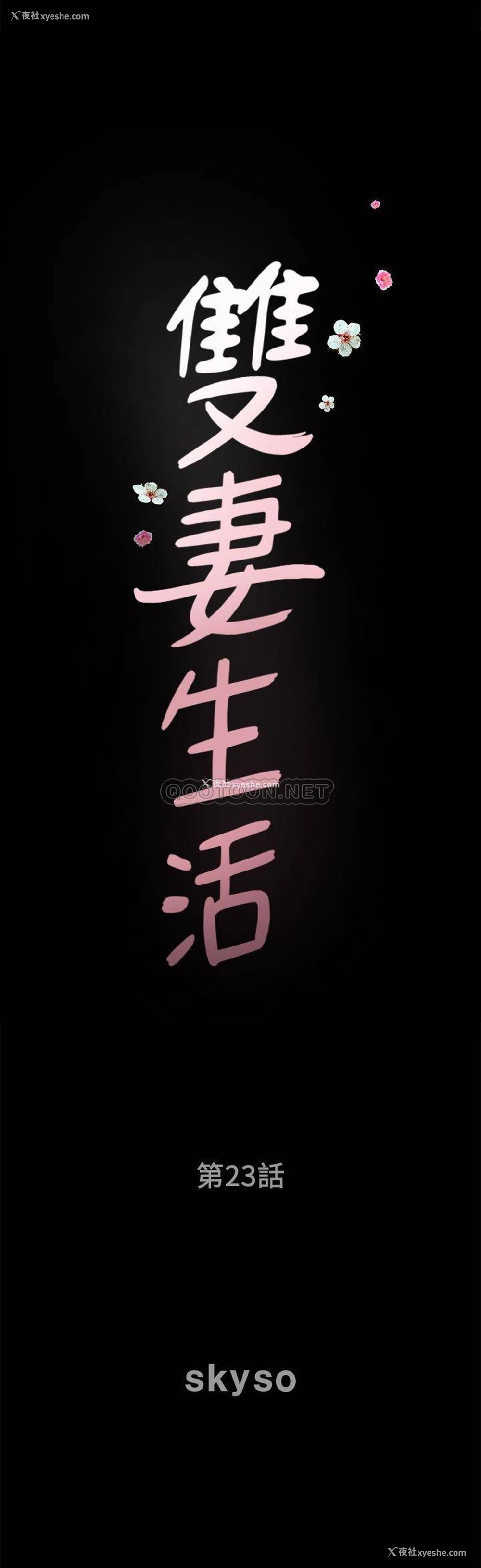 2P - 双妻生活