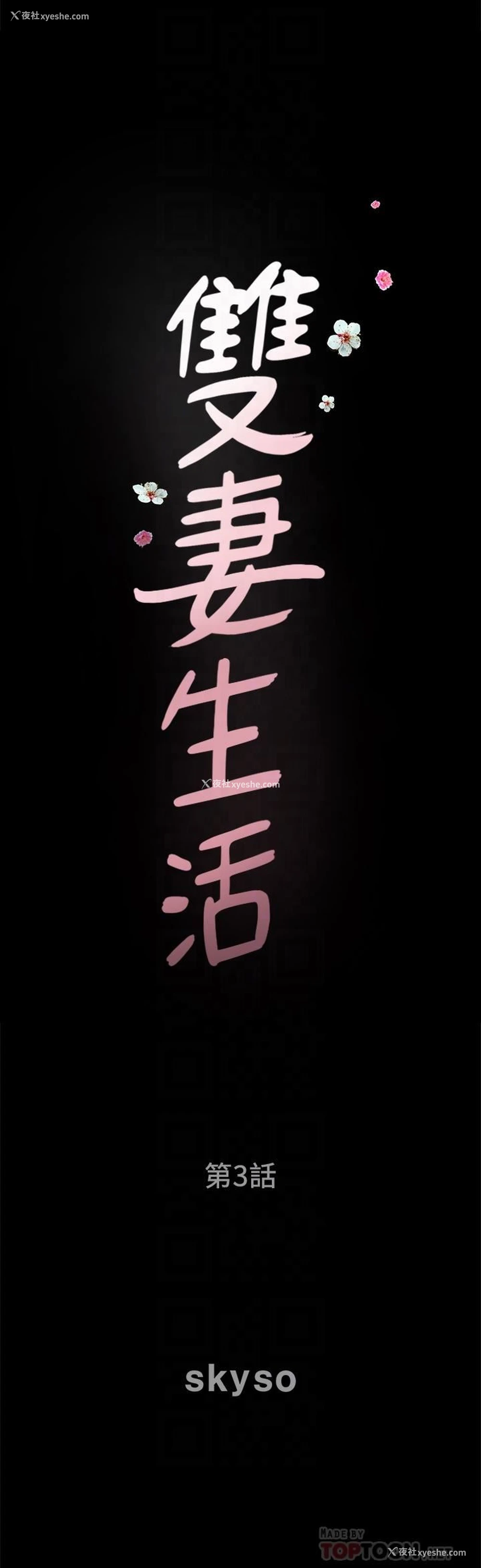 6P - 双妻生活
