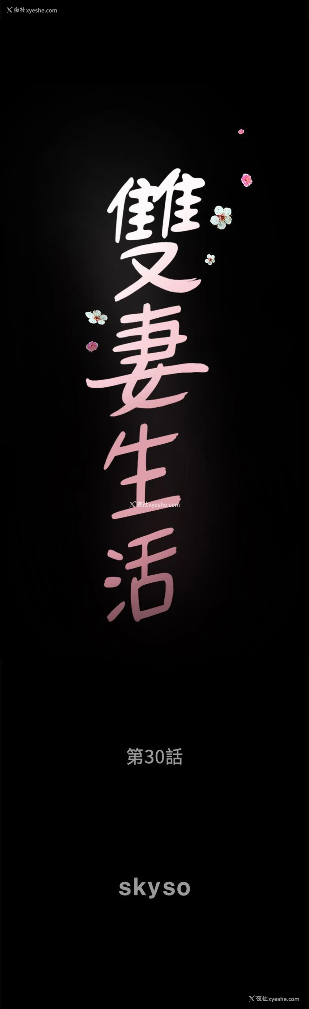 2P - 双妻生活
