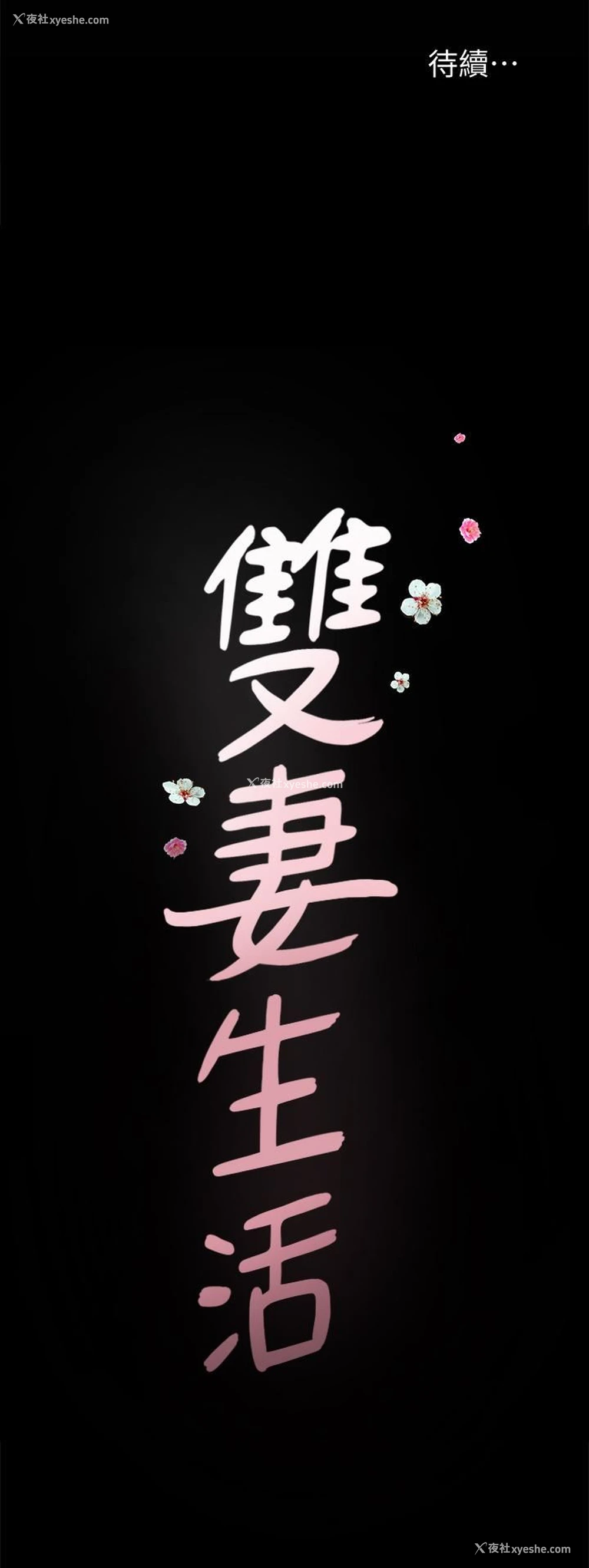 28P - 双妻生活