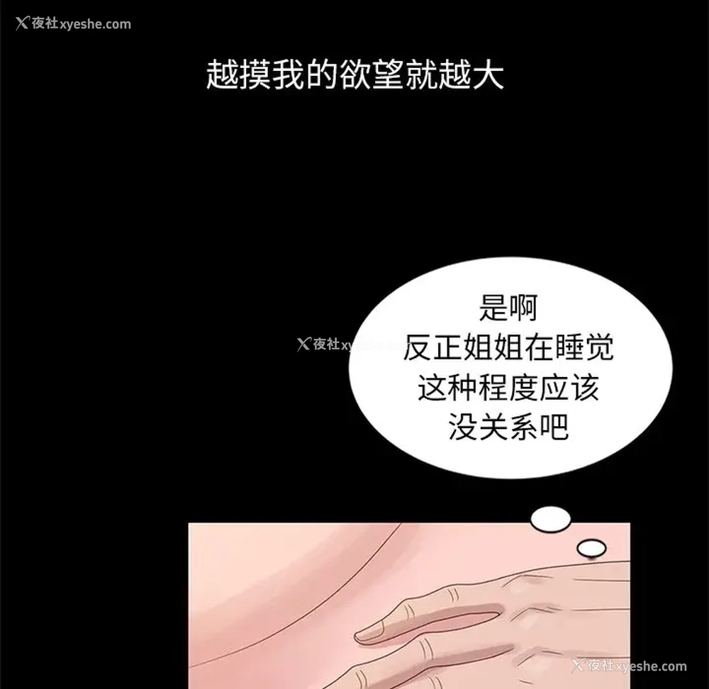 29P - 姐姐的秘密