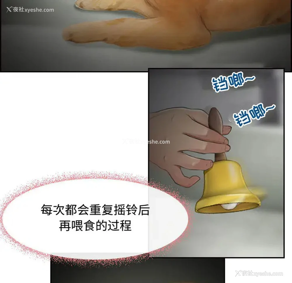 6P - 耳畔的神音