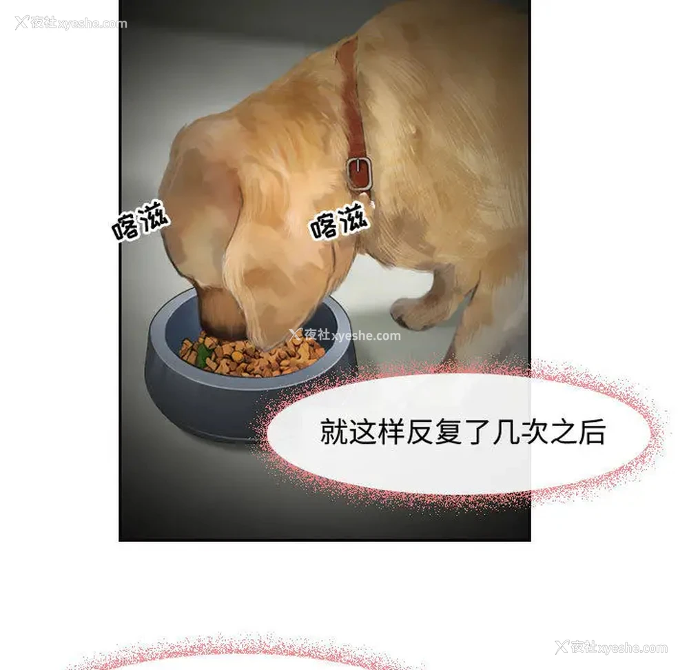 7P - 耳畔的神音