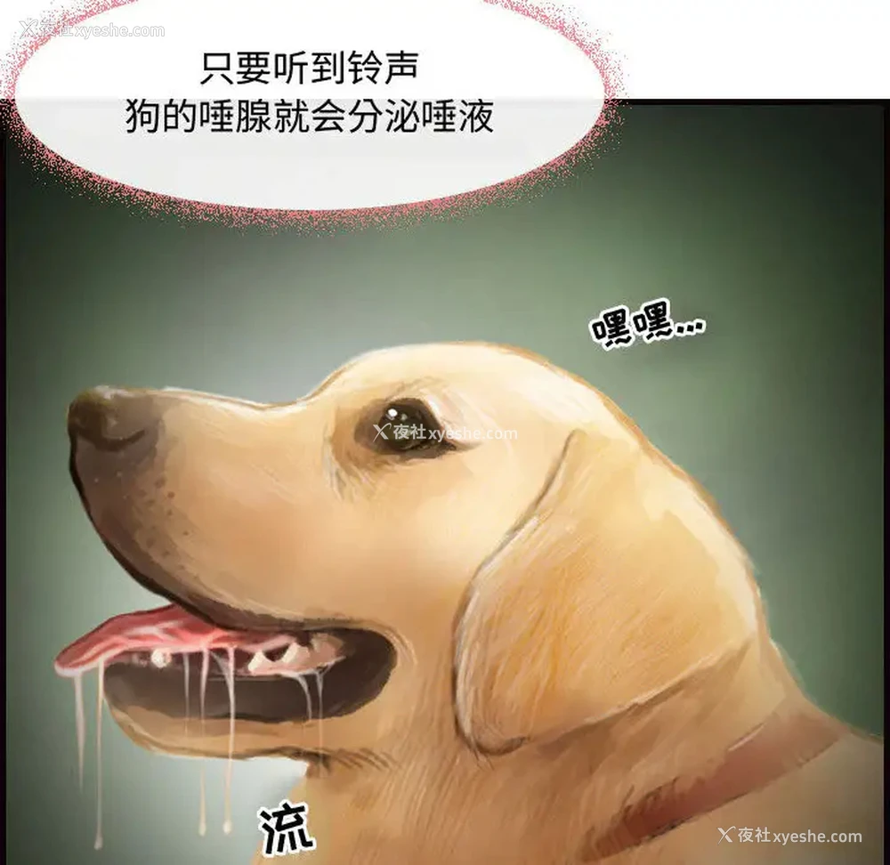 8P - 耳畔的神音