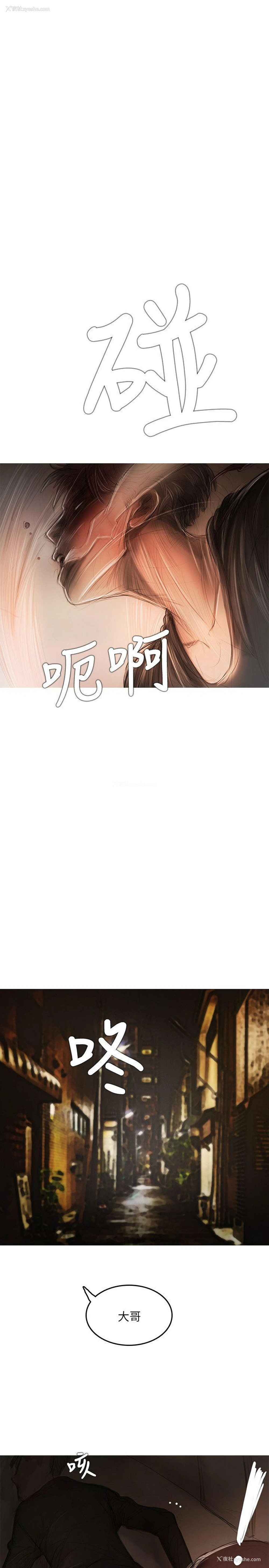 12P - 开发性味蕾