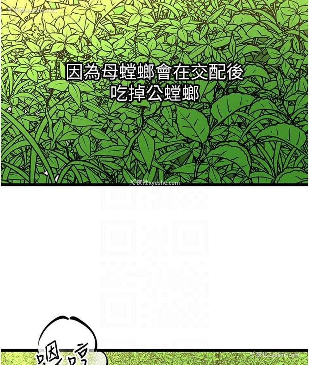 88P - 地表最屌卧底干员