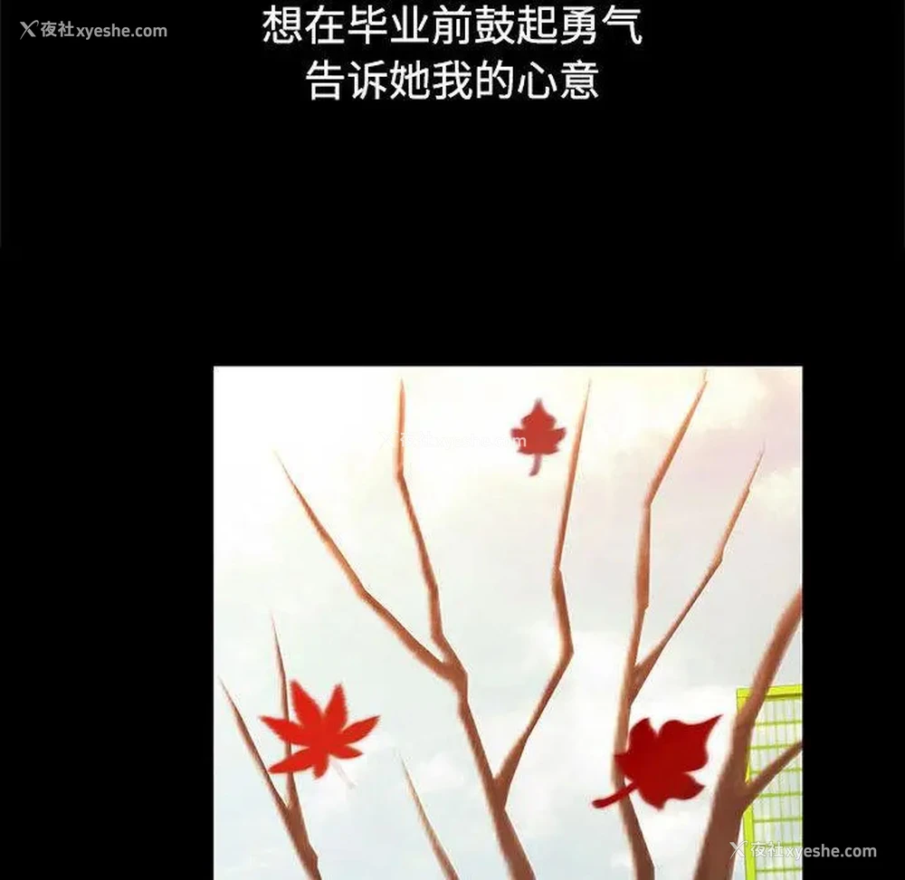 37P - 可以爱你吗