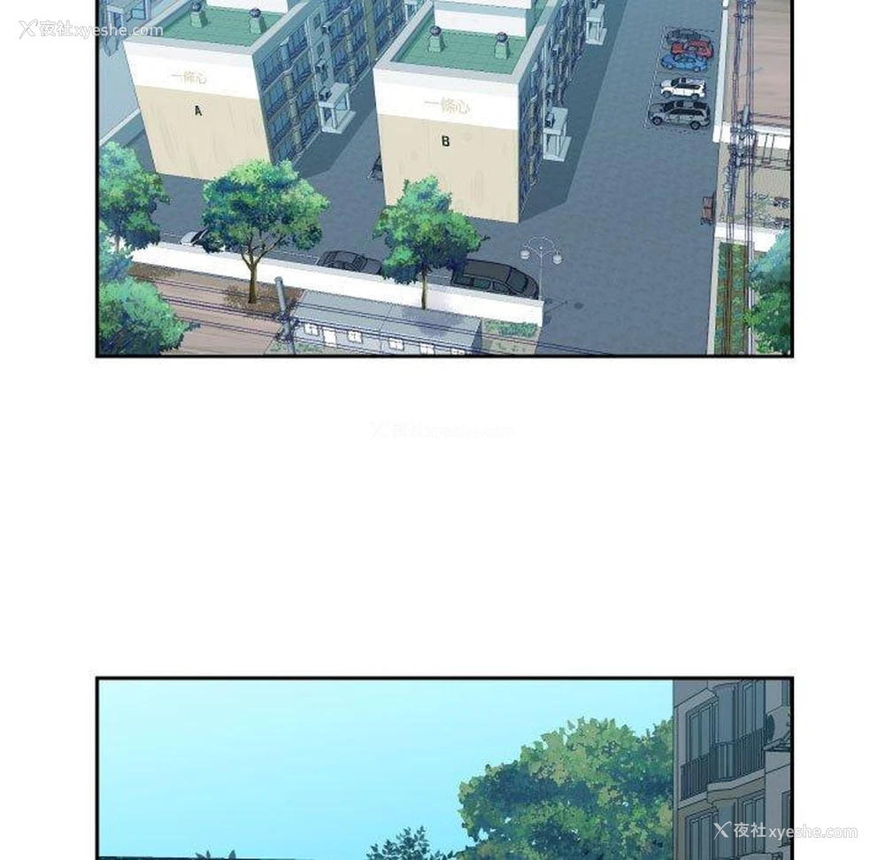 5P - 社区重建协会