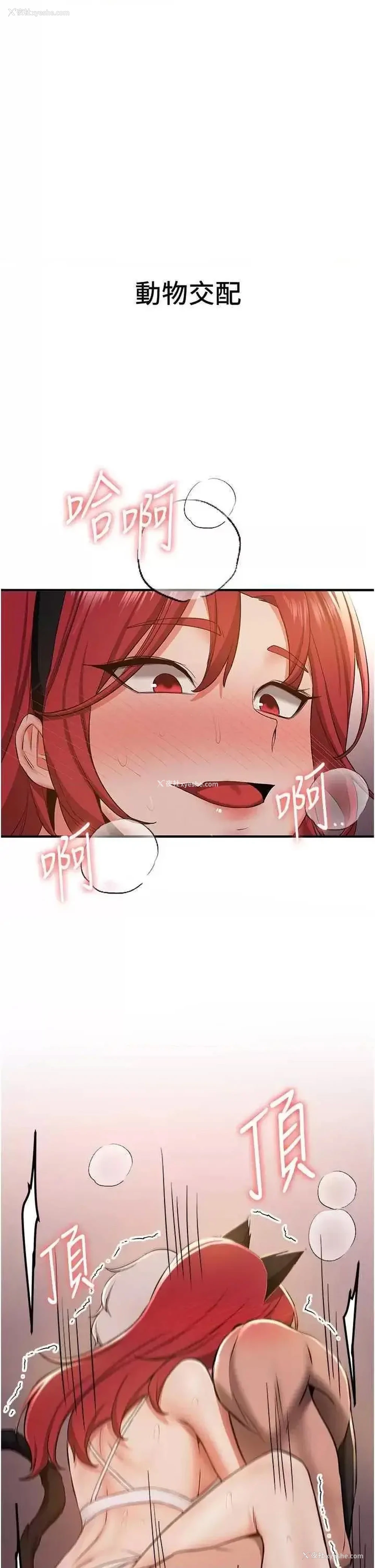 1P - 抢女友速成班