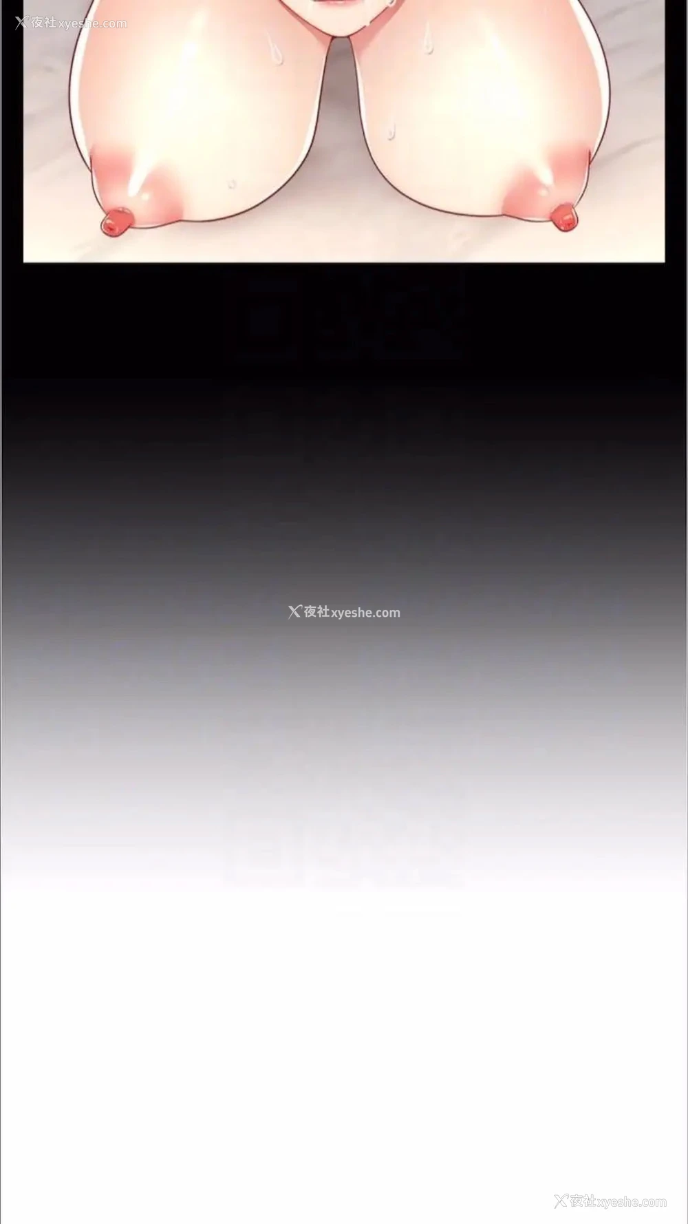 16P - 直播主的流量密码