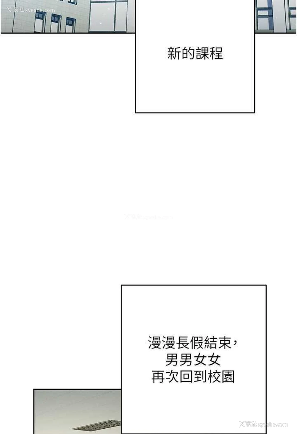 22P - 练爱选择题