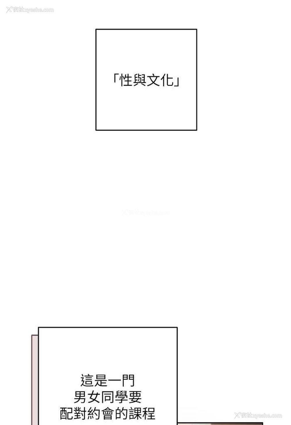 43P - 练爱选择题