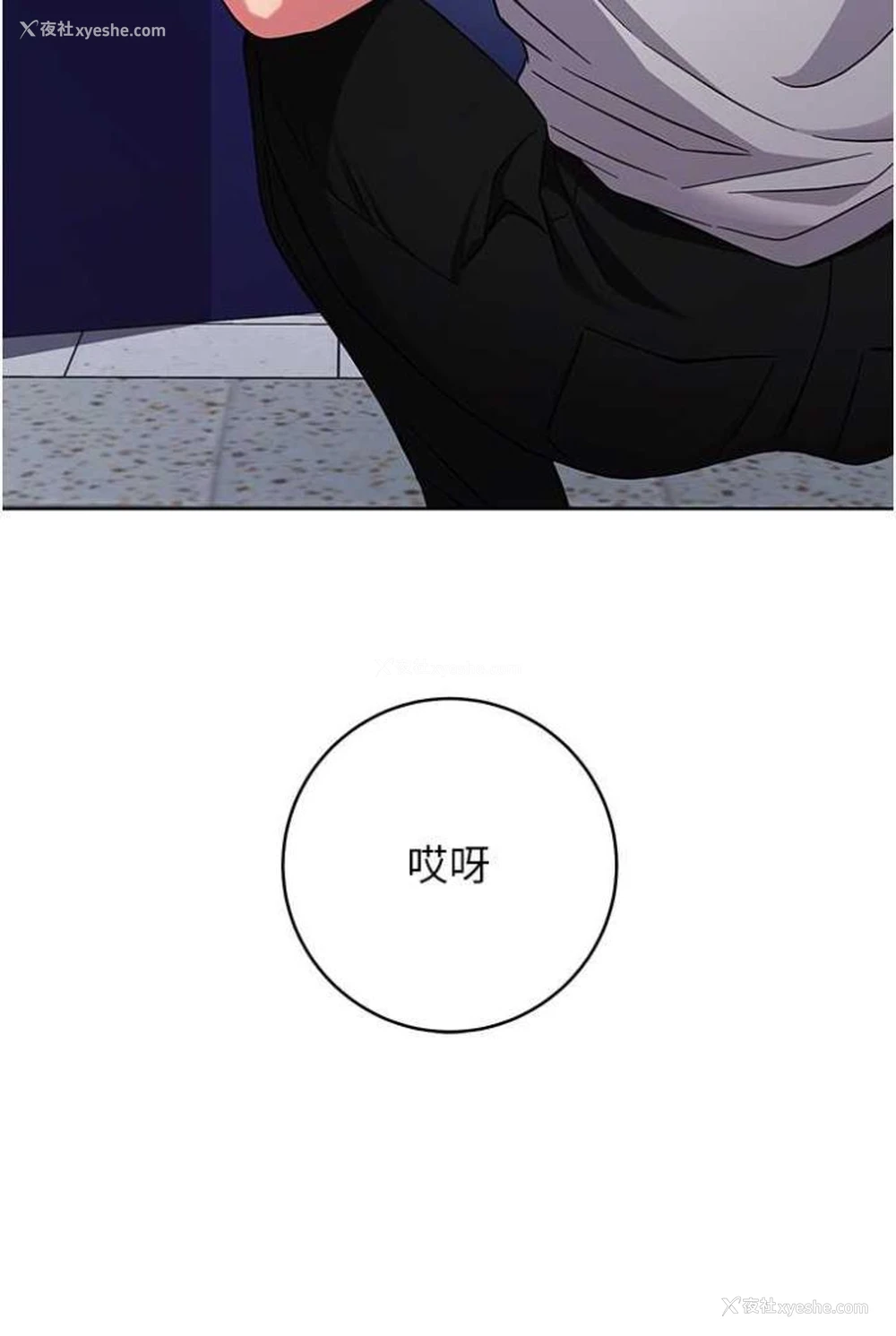115P - 练爱选择题