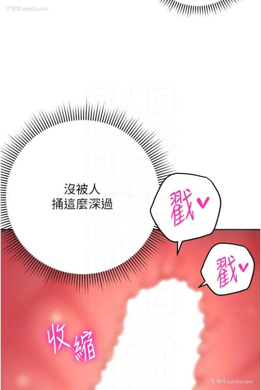 12P - 练爱选择题