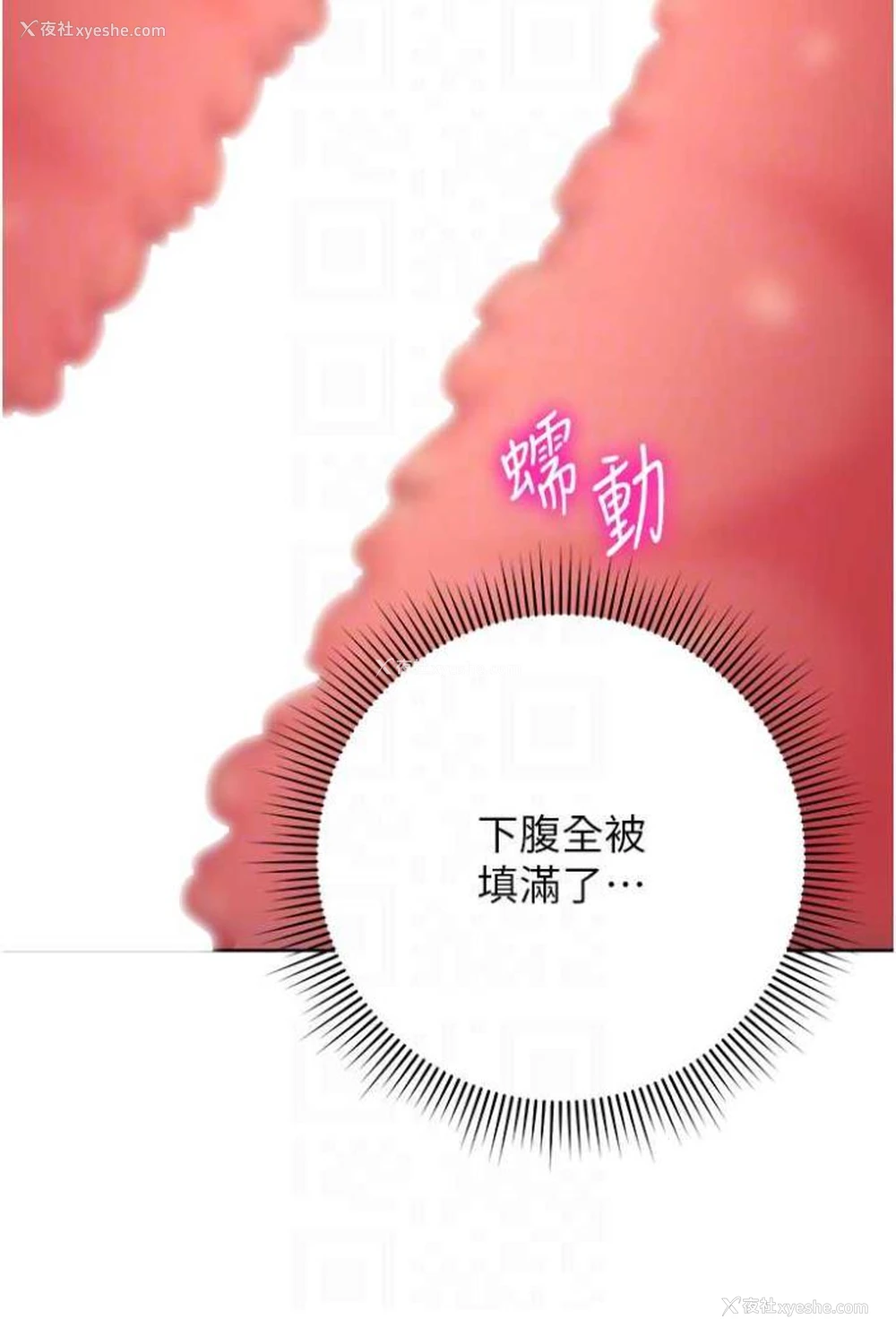 13P - 练爱选择题