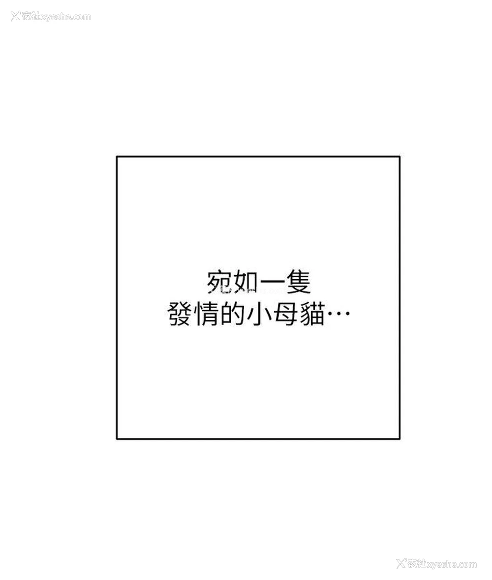 10P - 练爱选择题