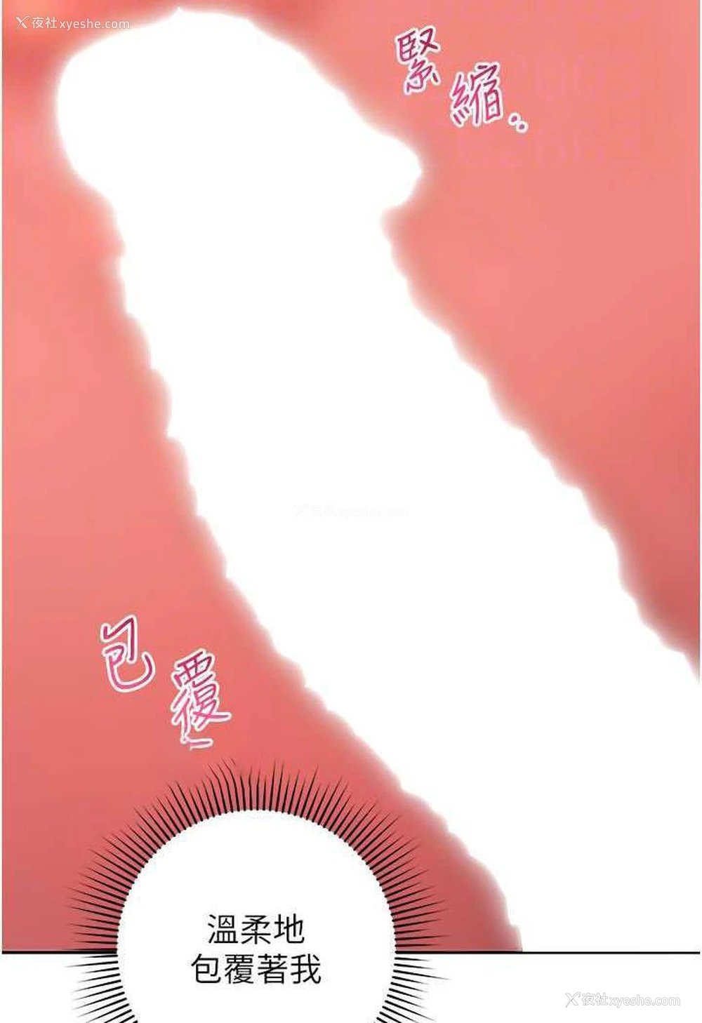 17P - 练爱选择题