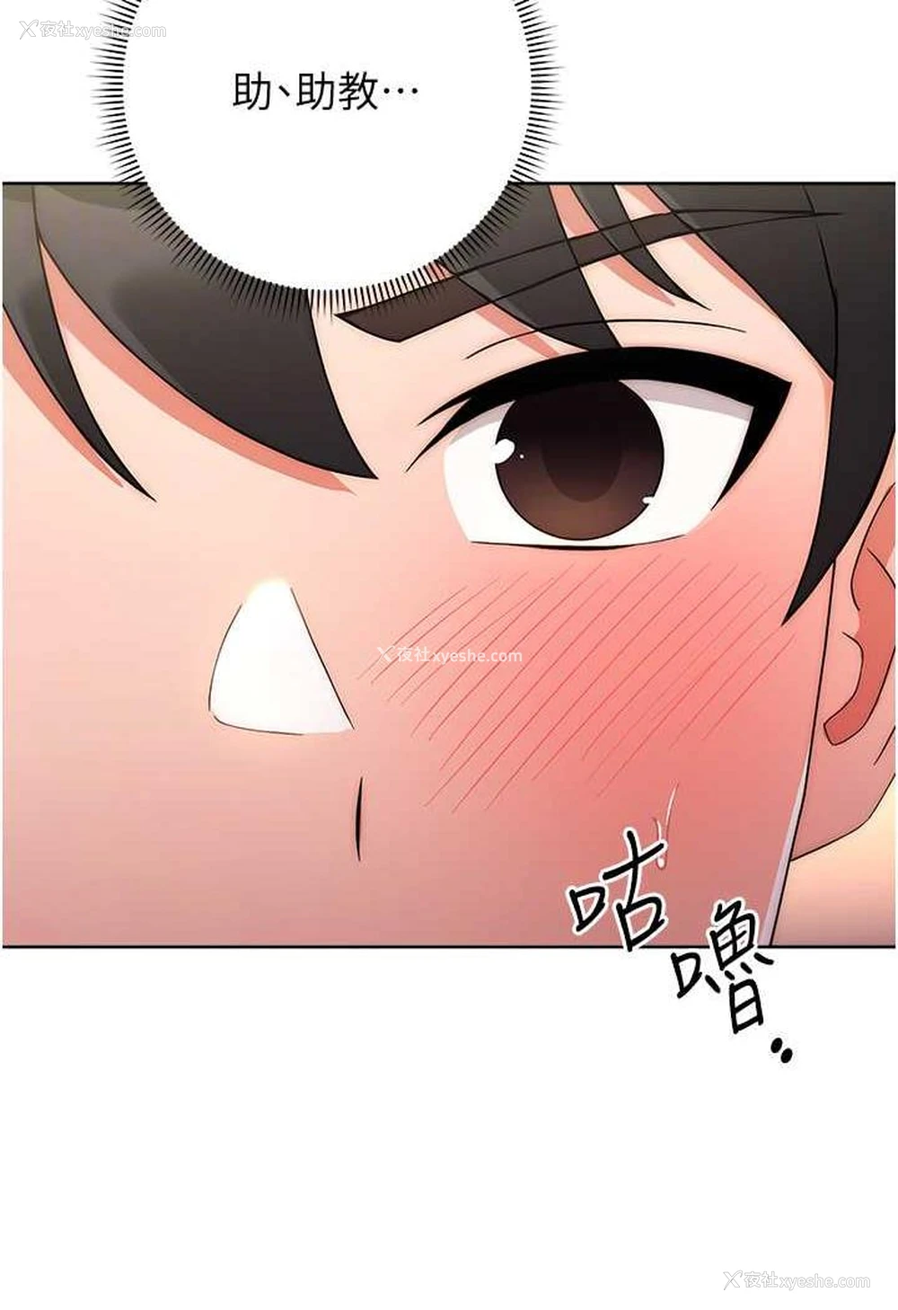 16P - 练爱选择题