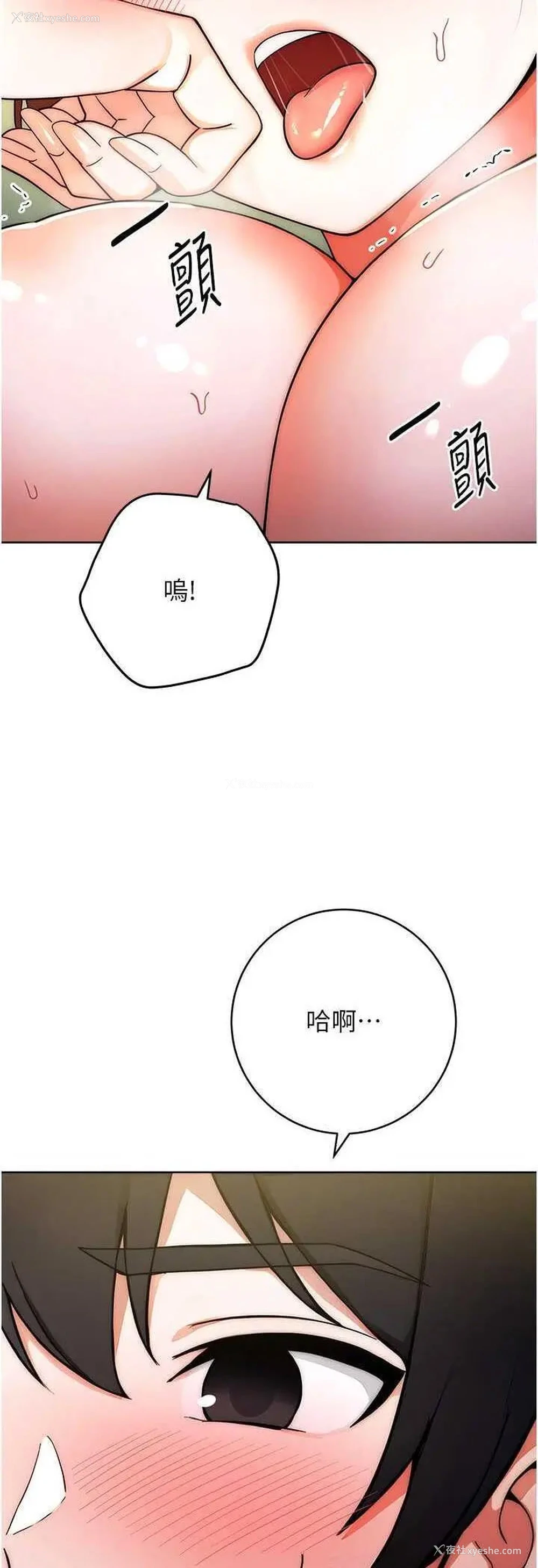 11P - 练爱选择题