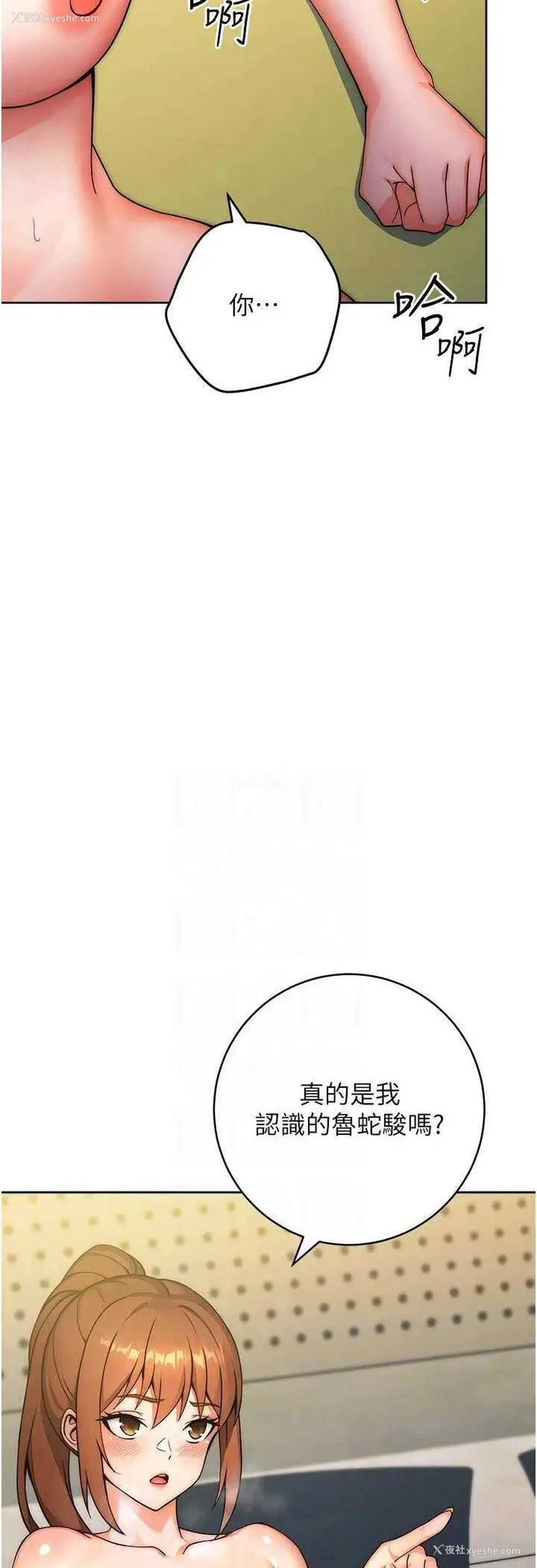 22P - 练爱选择题