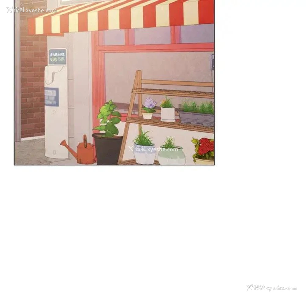 72P - 屋檐下的光