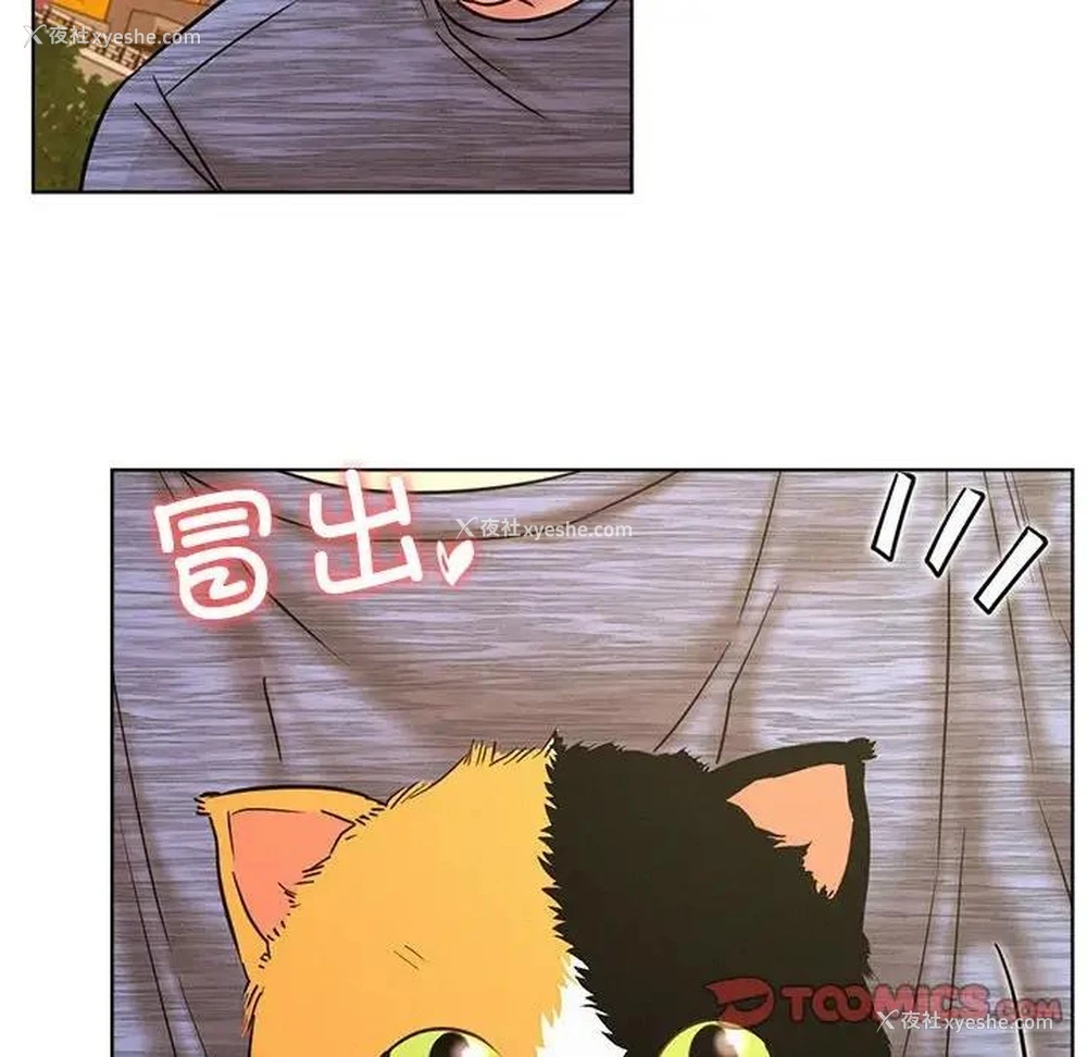 111P - 屋檐下的光