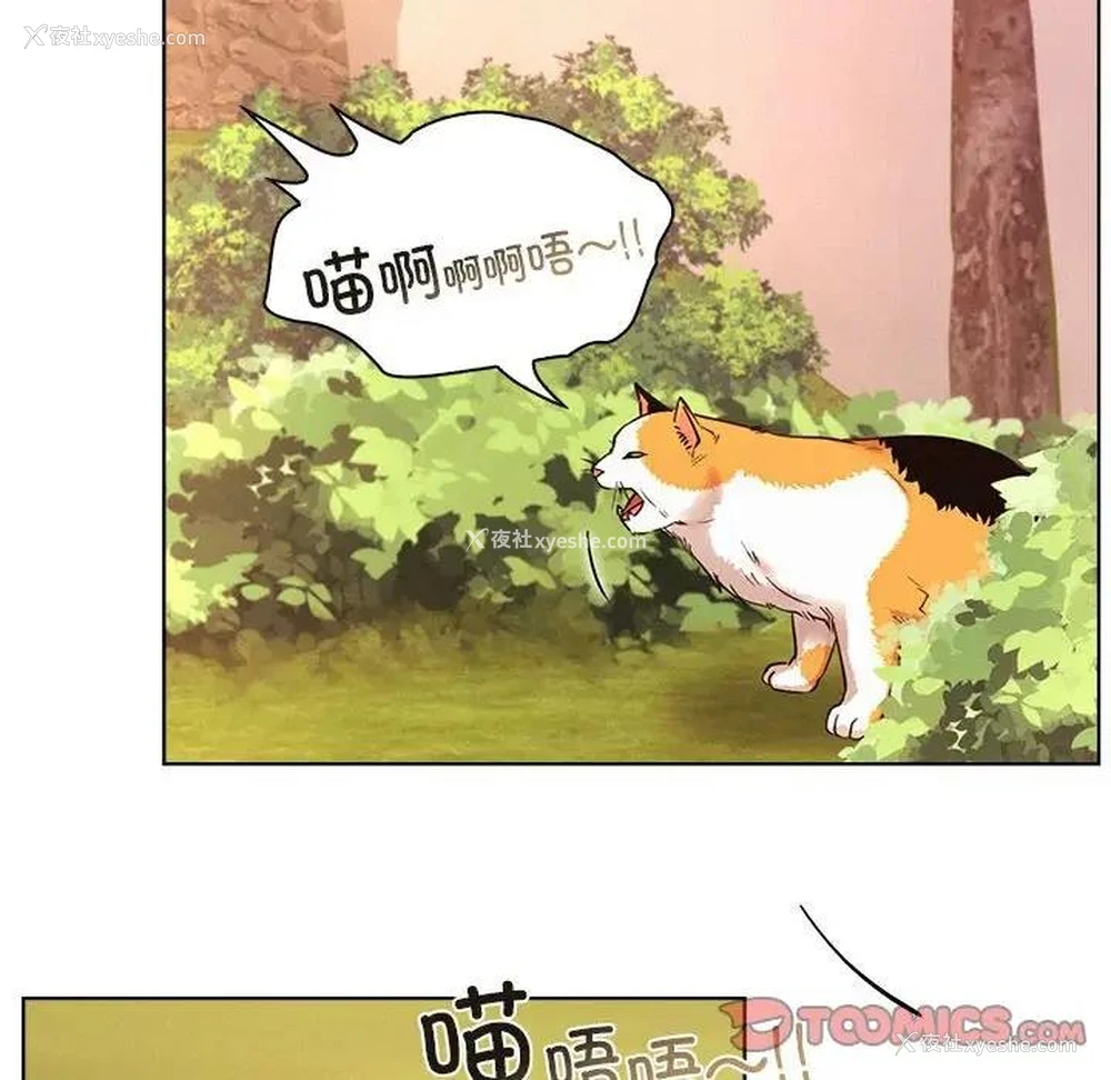 84P - 屋檐下的光