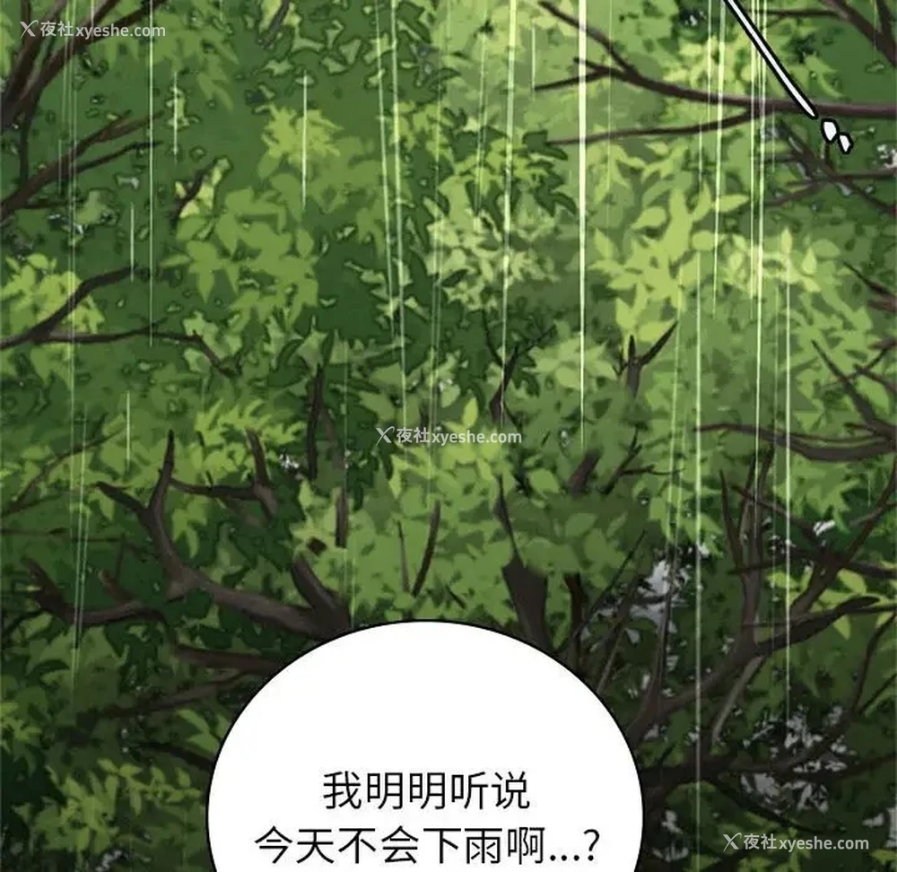81P - 屋檐下的光