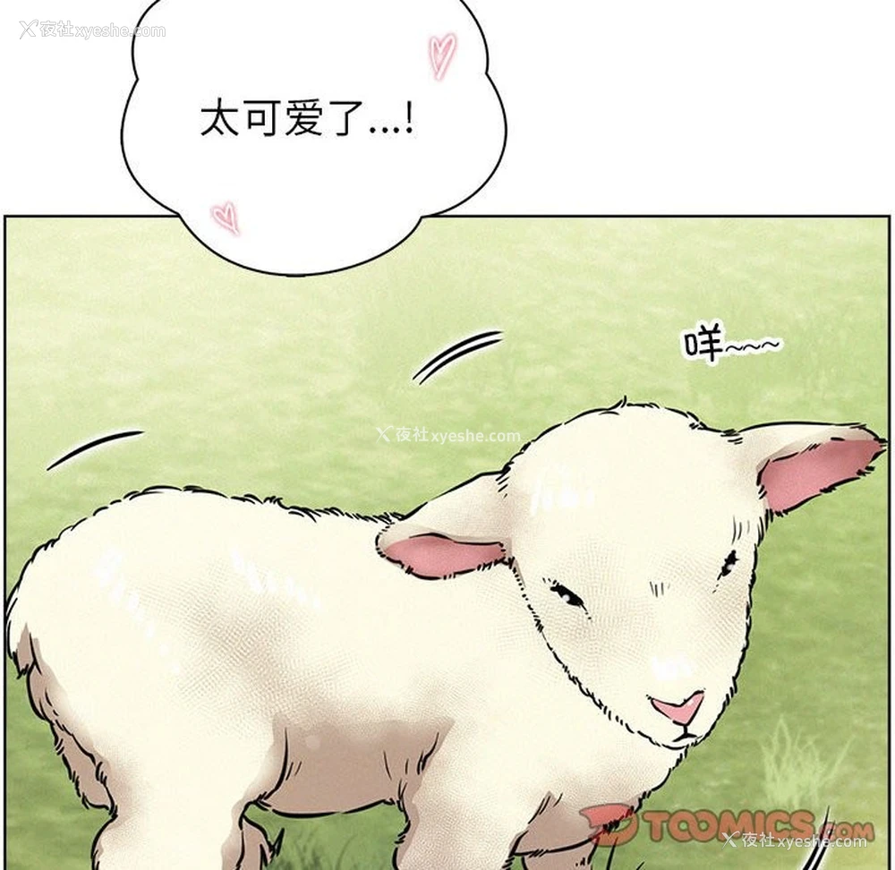 91P - 屋檐下的光