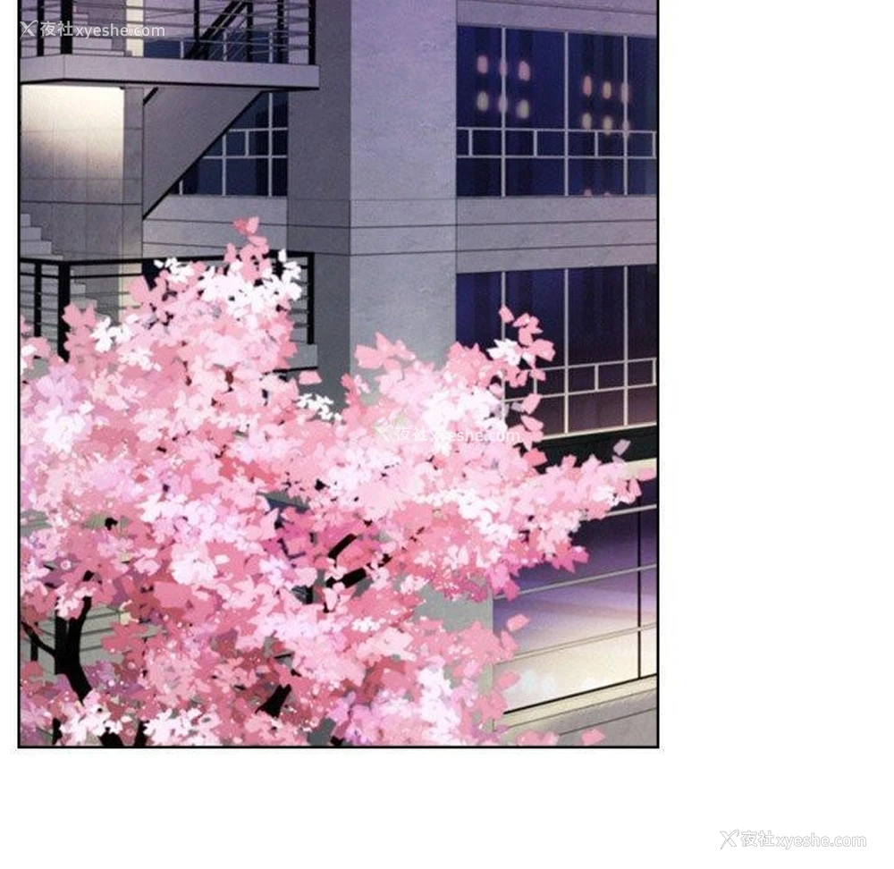 116P - 屋檐下的光
