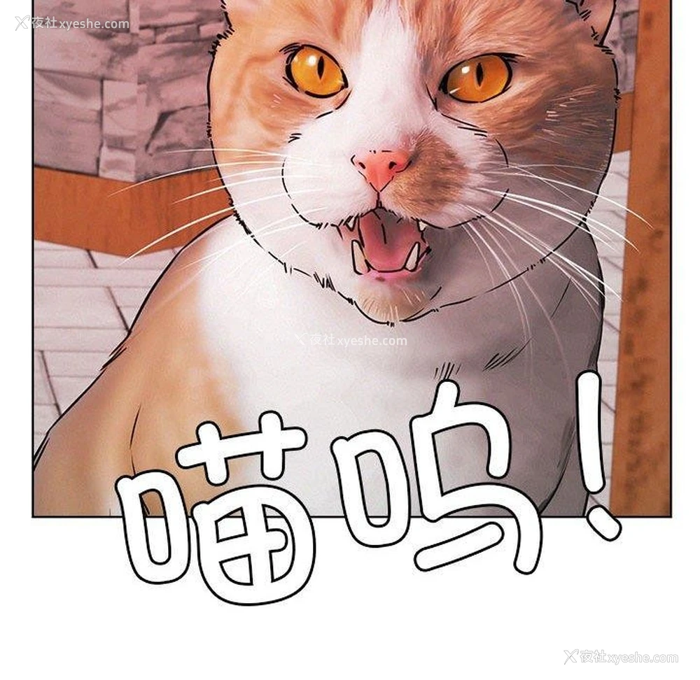 147P - 屋檐下的光