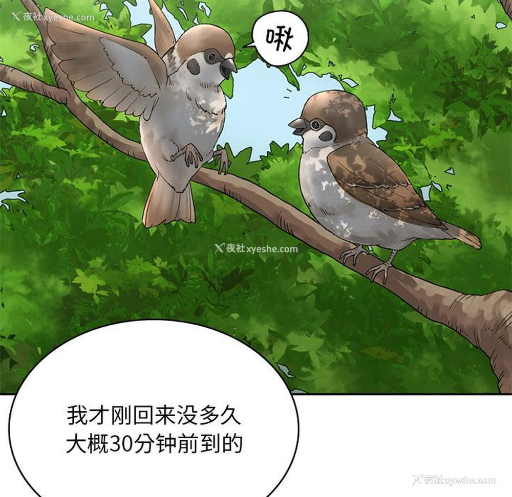 180P - 回乡后的春天