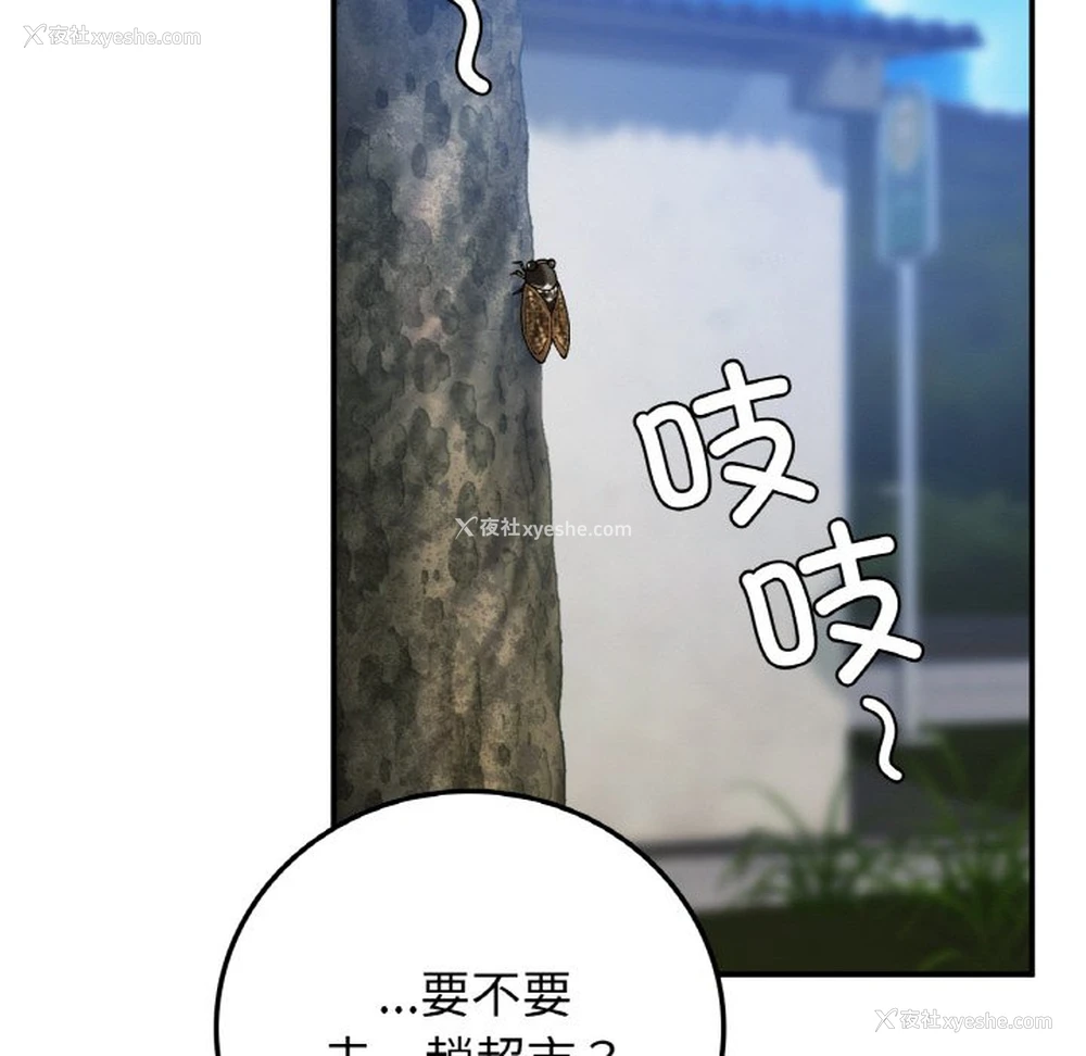 81P - 回乡后的春天