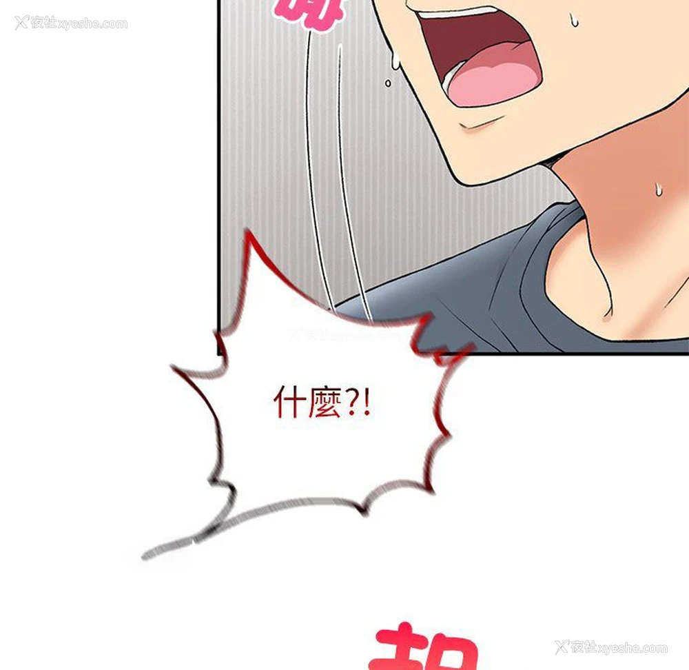 54P - 回乡后的春天