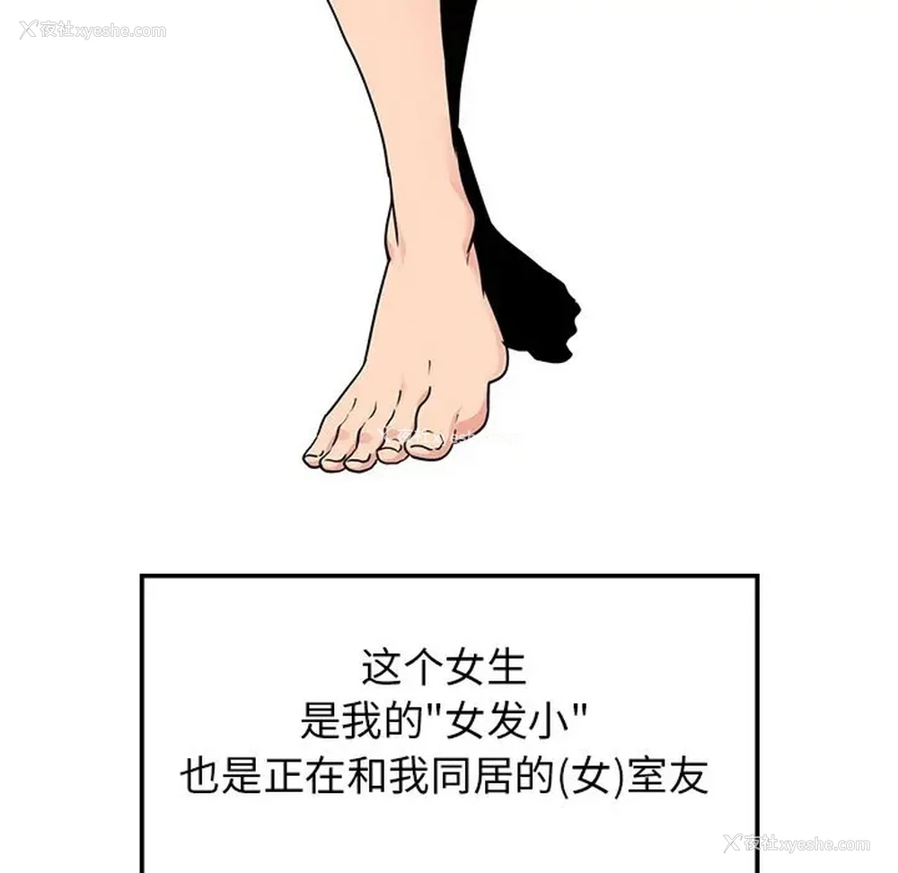5P - 发小碰不得