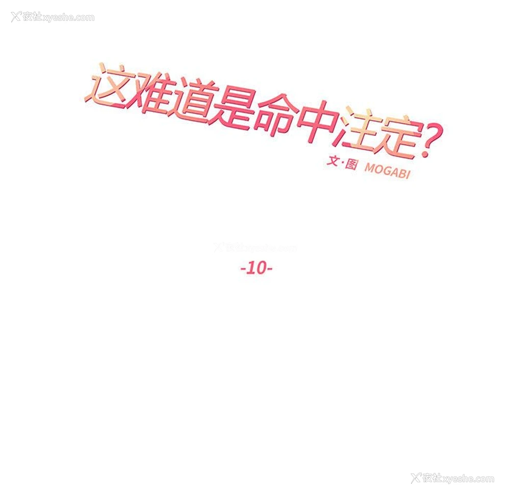 20P - 这难道是命中注定