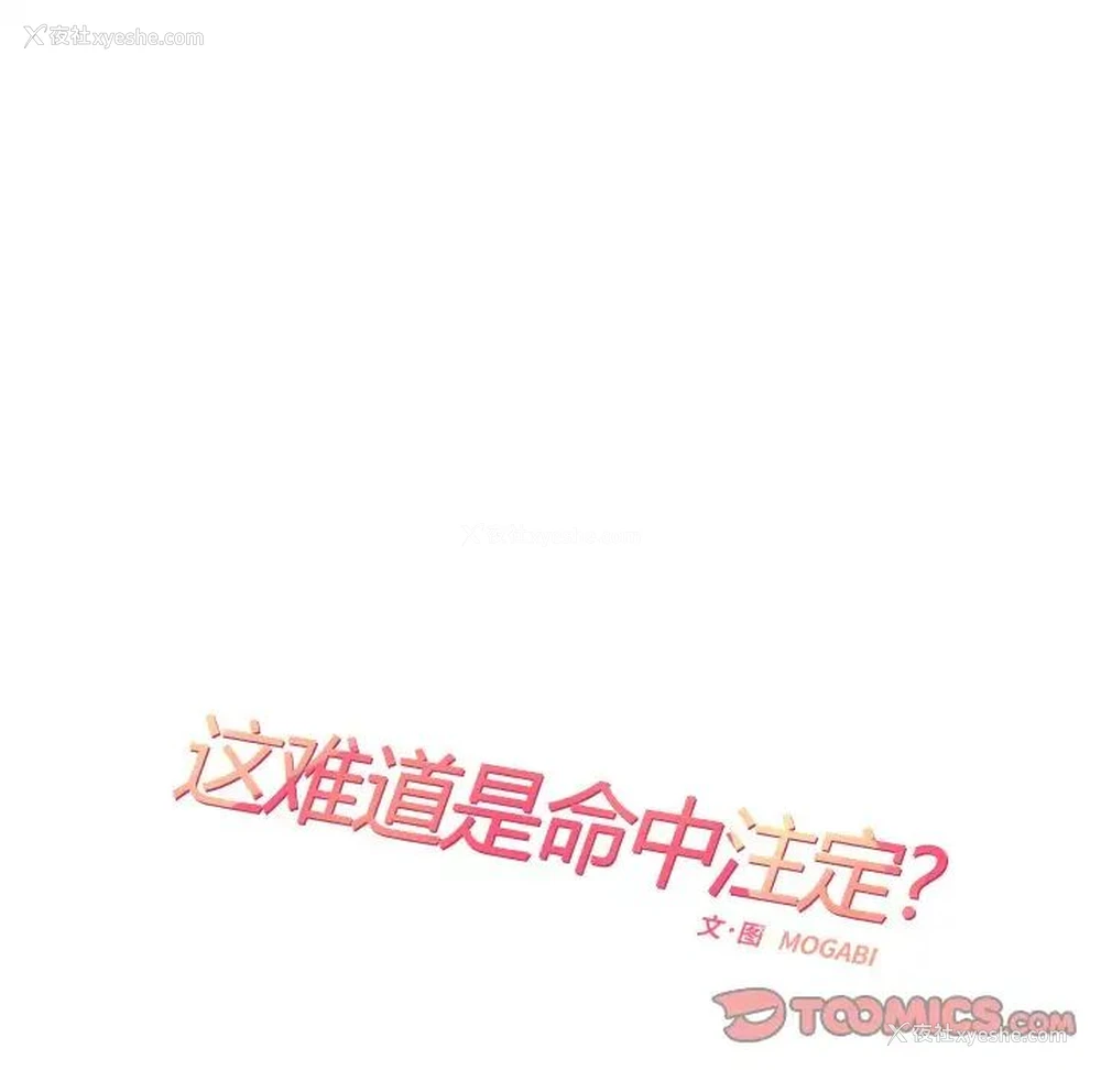 14P - 这难道是命中注定