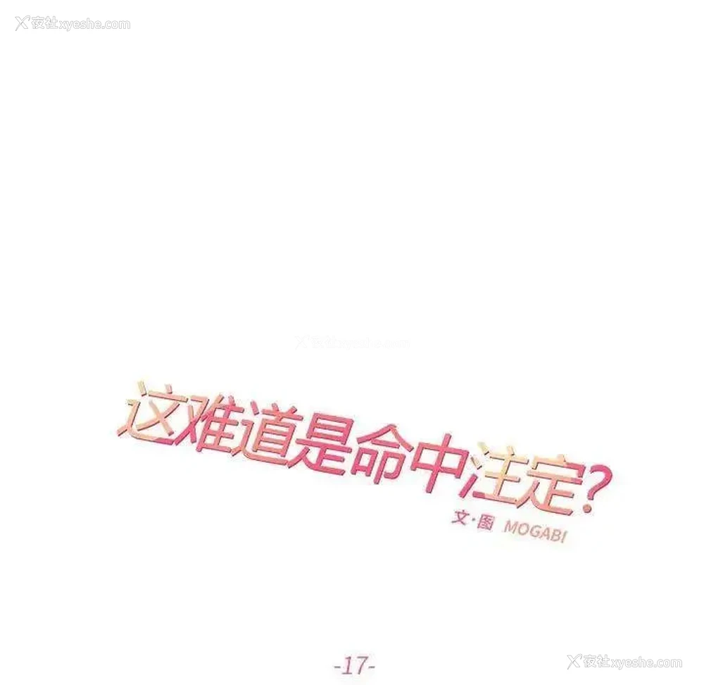 17P - 这难道是命中注定