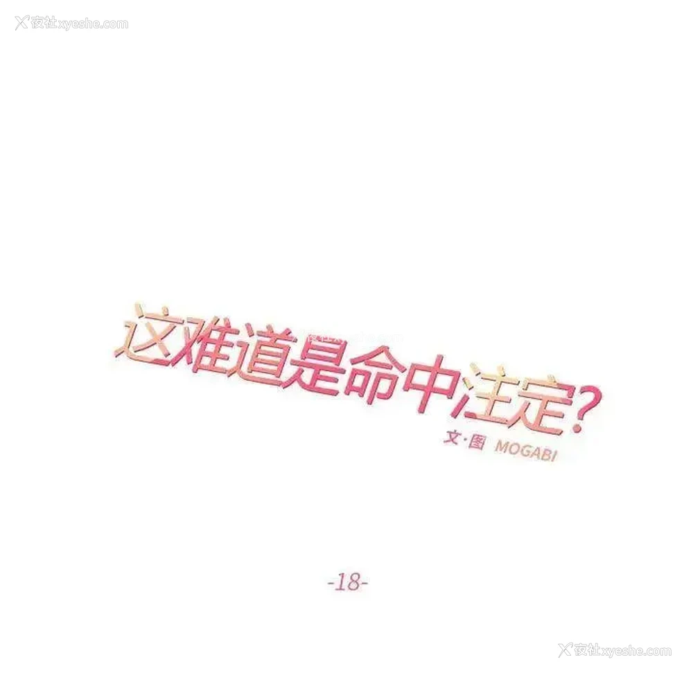15P - 这难道是命中注定