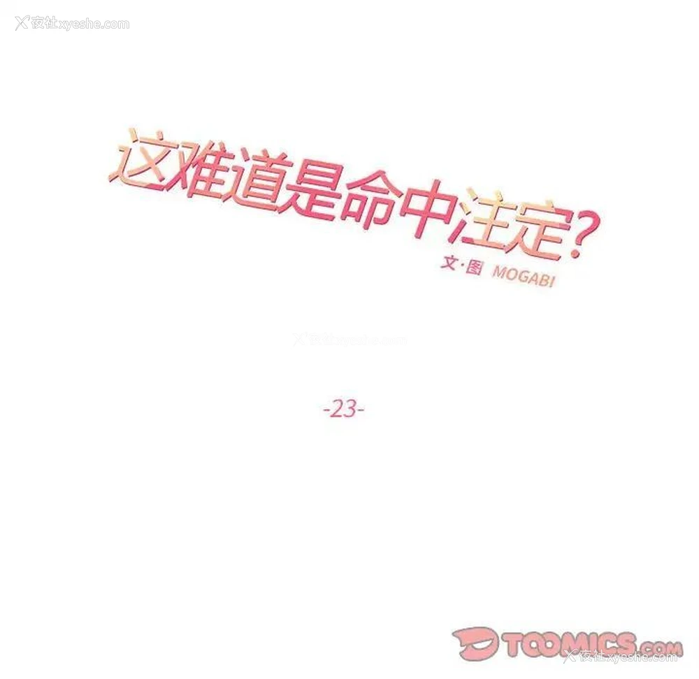 26P - 这难道是命中注定