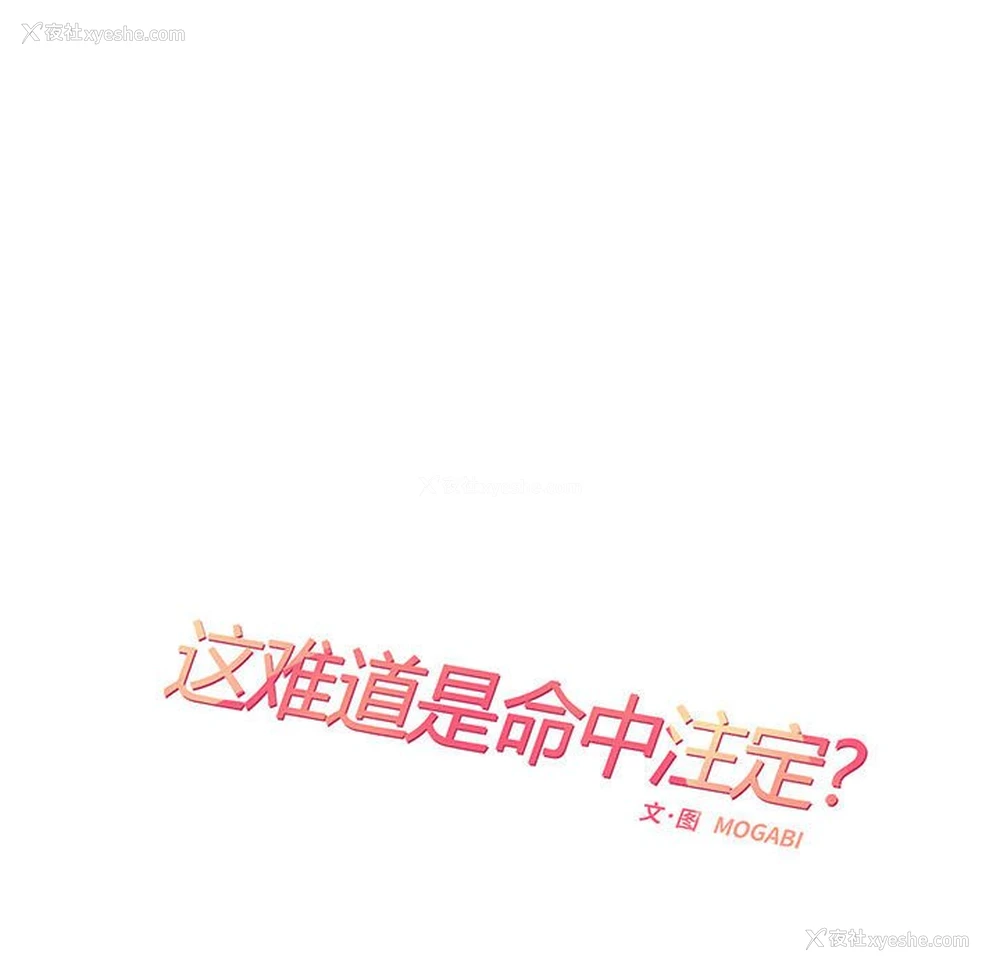 28P - 这难道是命中注定