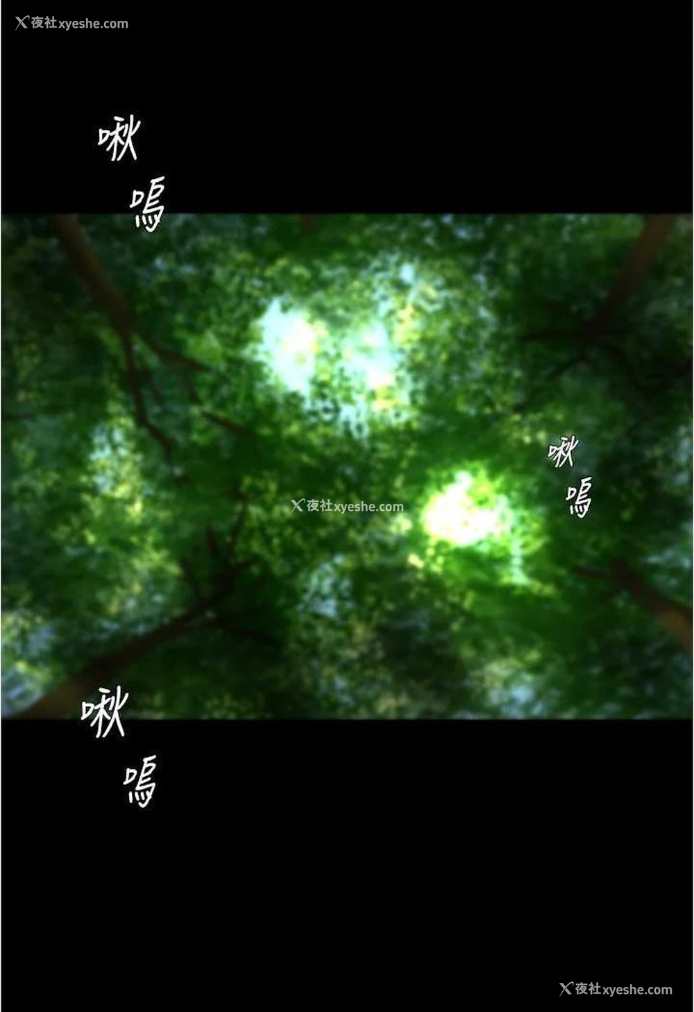 35P - 小裤裤笔记