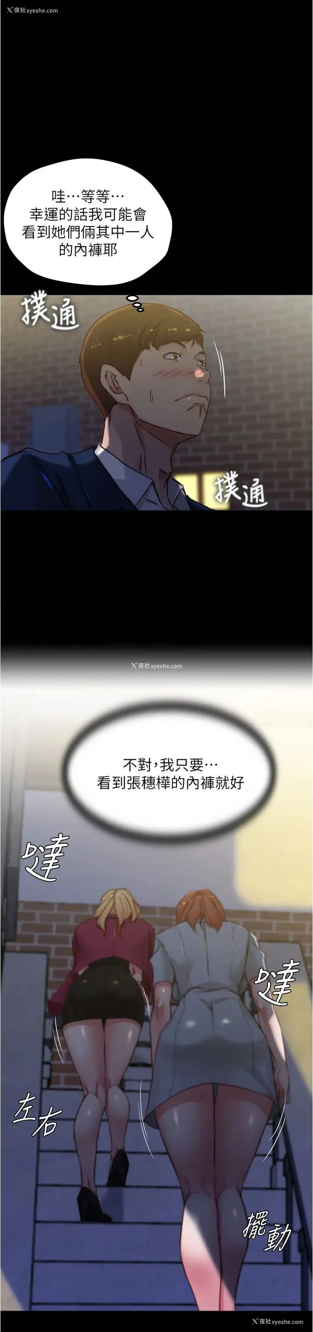 28P - 小裤裤笔记