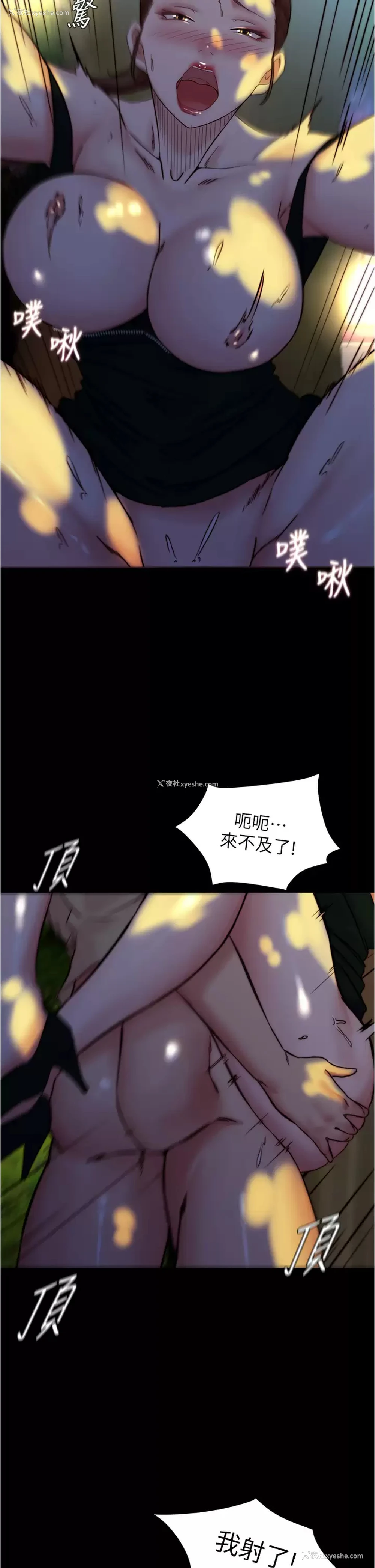 31P - 小裤裤笔记