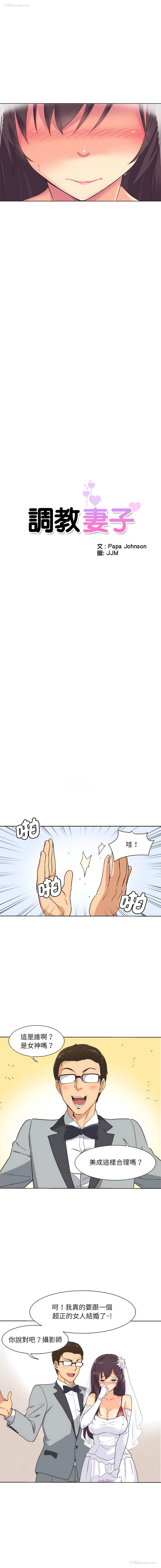 2P - 调教妻子