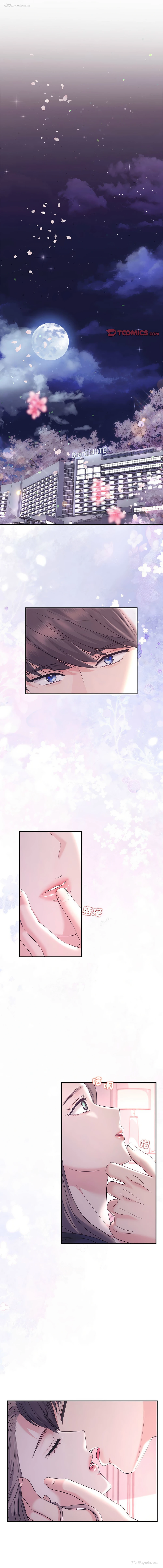 1P - 协议关系