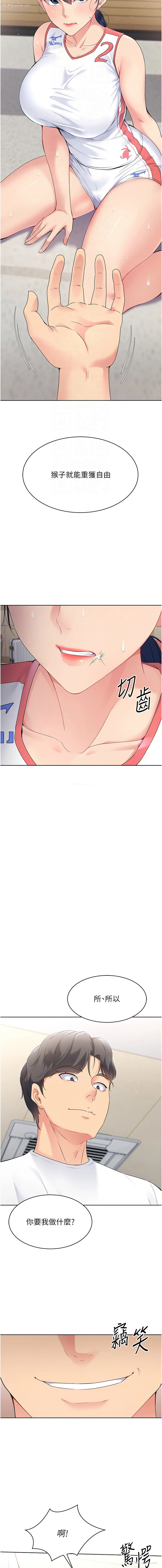 12P - 排球少女